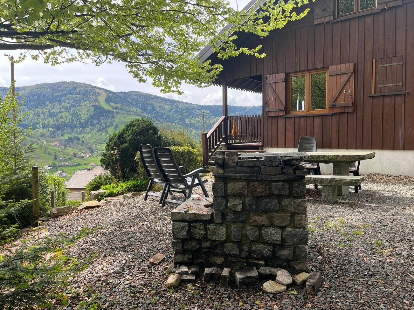 Chalet Bois Vue Panoramique : 2 Logements Et Sauna Bussang Exterior photo